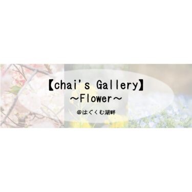 【chai’s Gallery】～Flower～ ＠はぐくむ湖畔